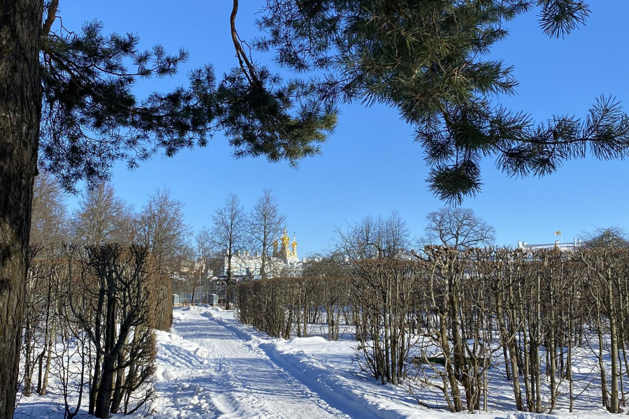 Экскурсия загородная в Царское Село.  Екатерининский дворец, парк