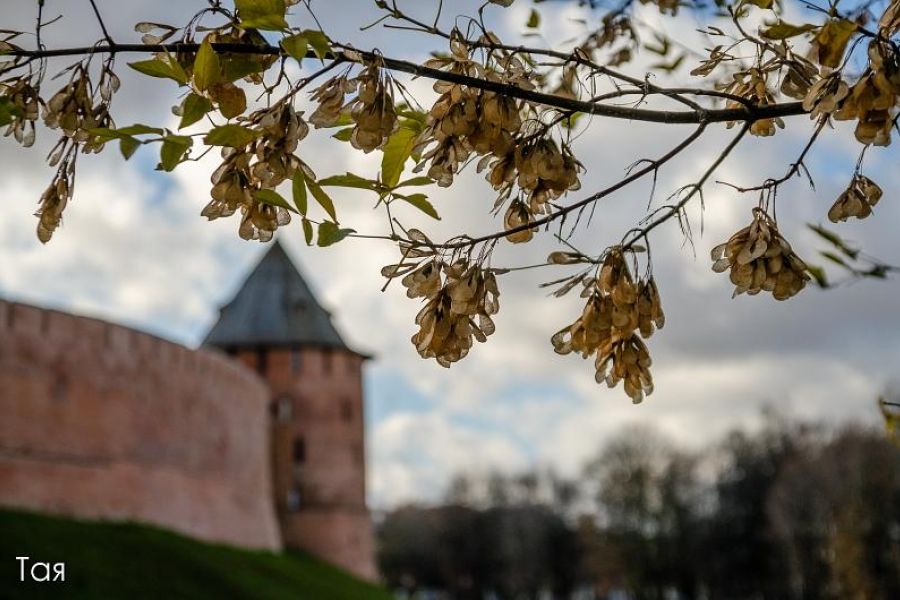 Путешествие из Карелии в Великий Новгород