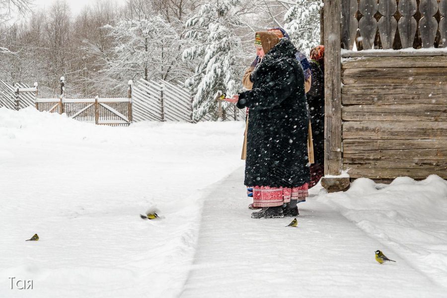 Новый год в кругу друзей. Великий Новгород-Валдай