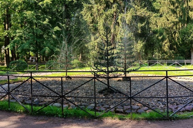 Фото с экскурсии в Петергоф