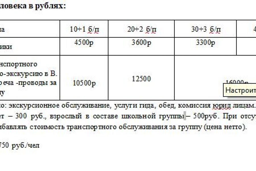 Сказочное Новогодье в деревне Витославлицы
