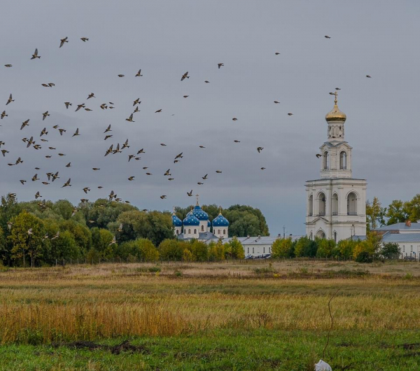 Загородная экскурсия по окрестностям